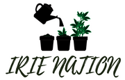 irie nation