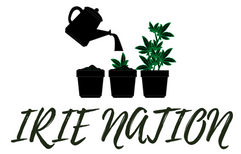 irie nation